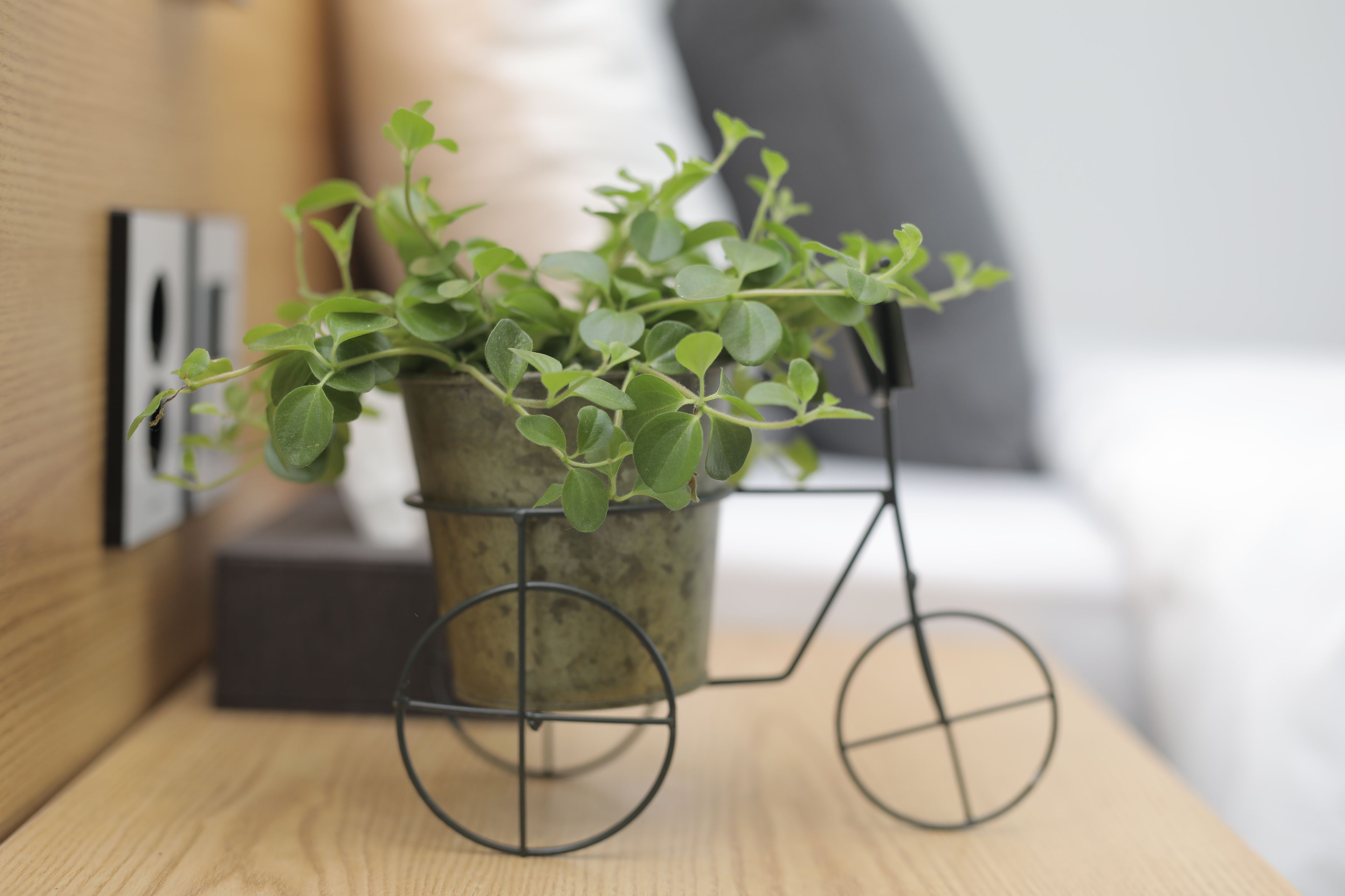 Photo - Line Hotel Myeongdong