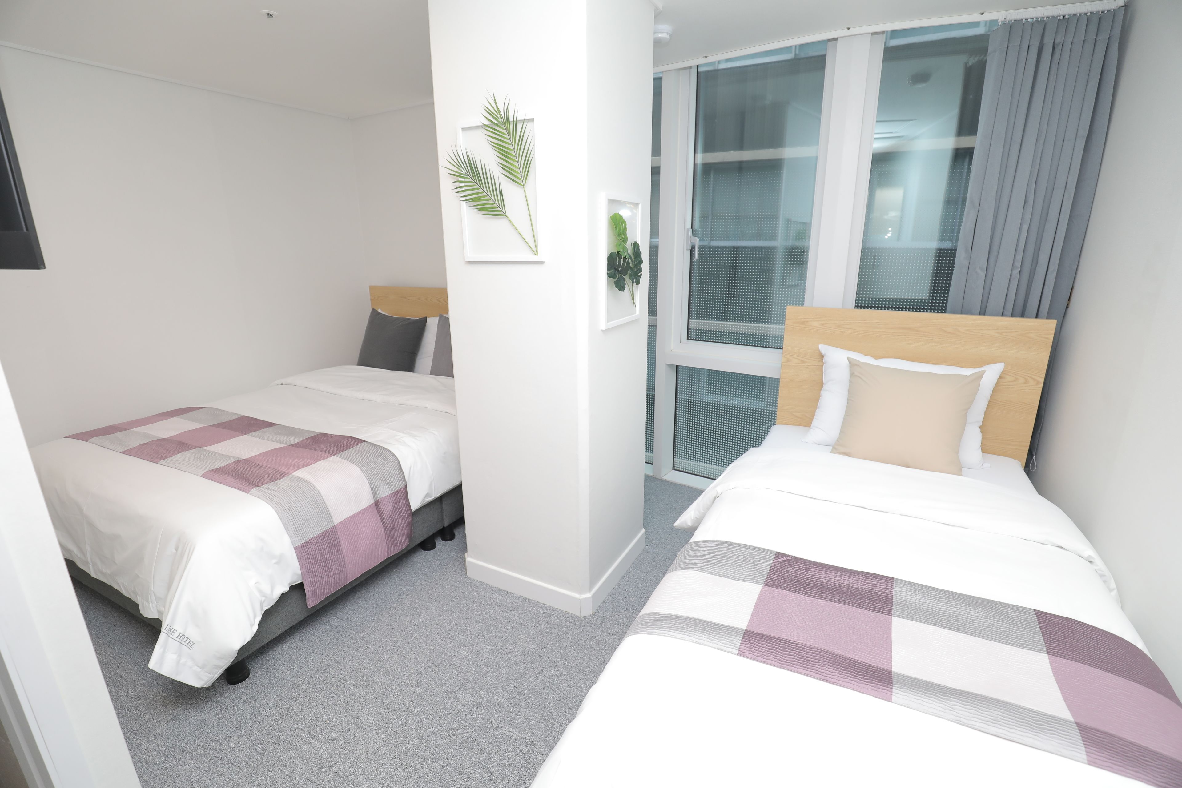 Une chambre d’hôtel moderne avec deux lits, une grande fenêtre avec des rideaux et une petite plante accrochée au mur.