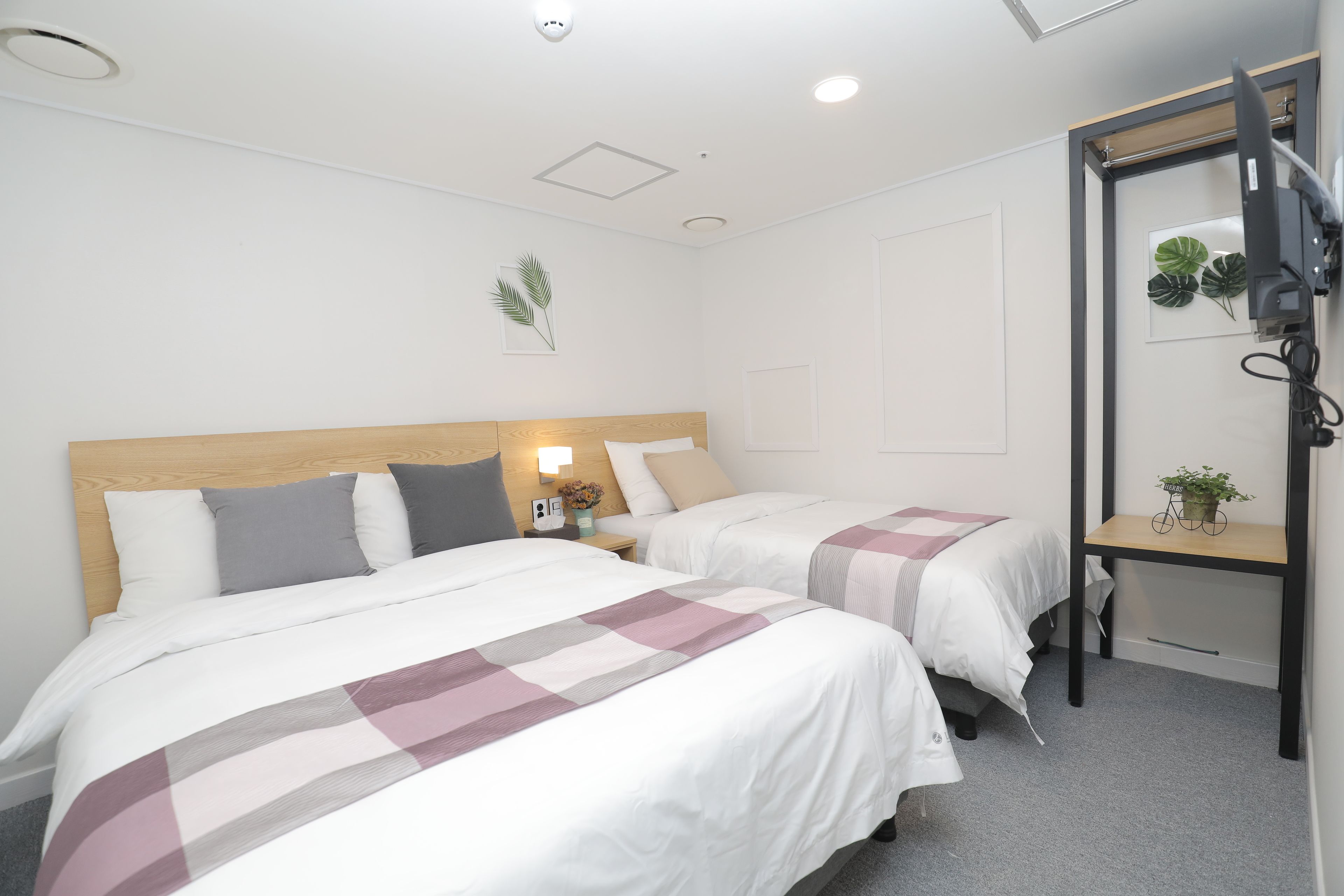 A hotel room with two beds, a wooden headboard, a desk with a chair, a TV mounted on the wall, and a small plant on the desk.