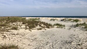 Una playa arenosa con dunas y un paseo marítimo de madera.