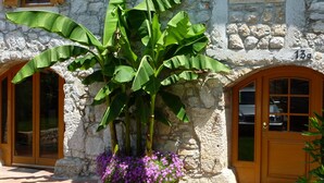 Un bâtiment en pierre avec des volets en bois, un grand bananier et des fleurs violettes dans le hall d'entrée.