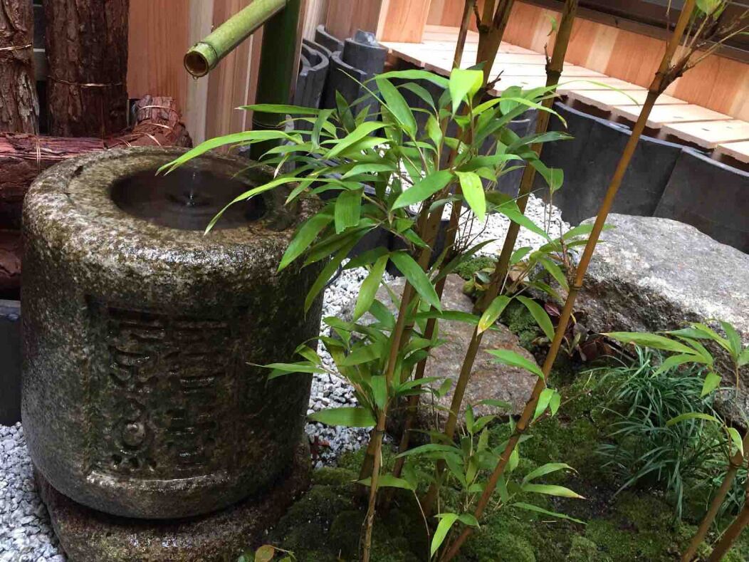 Una fuente de piedra con una planta de bambú en un entorno natural.