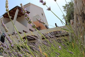 Courtyard - Apartment Nikola (Jelsa)