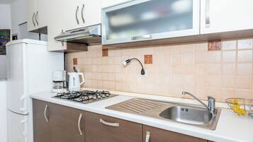 Apartment (A2) | Private kitchen | Fridge, stovetop