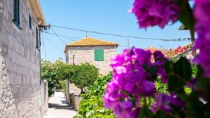 A narrow street with stone buildings, a small tower, and blooming purple flowers. - Apartments Kaja (Postira)