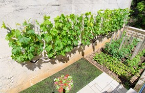Jardín