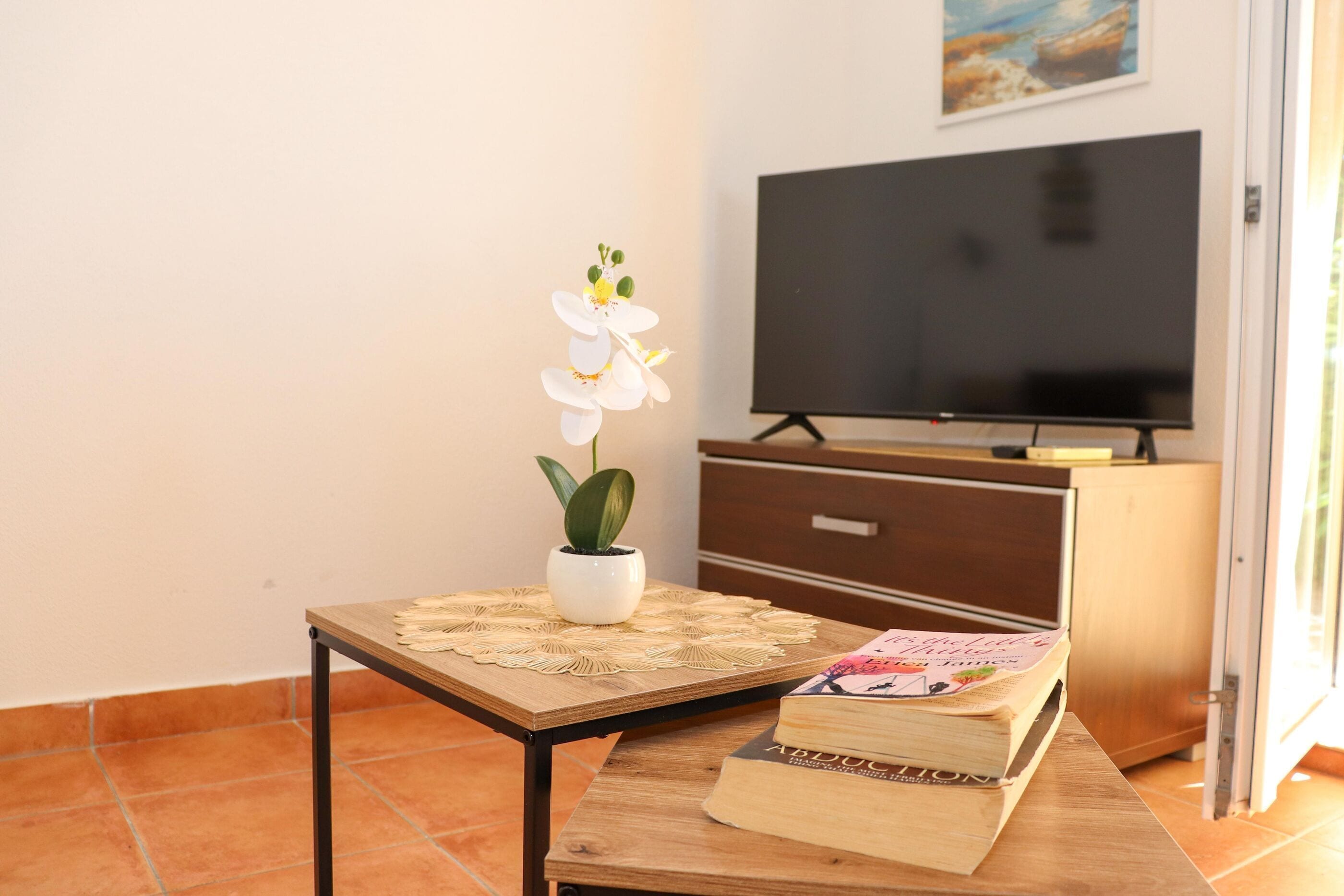 A room with a television, a small table with a plant and books, and a tiled floor.