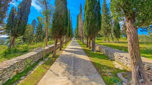 A pathway lined with tall cypress trees and stone walls, leading through a park. - Apartments Jerko (Sutivan)
