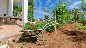 A wheelbarrow with flowers, a garden with various plants, and a view of a building with a balcony. - Apartments Jerko (Sutivan)