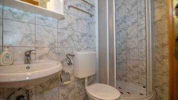 Une salle de bain avec un lavabo, des toilettes et une douche.