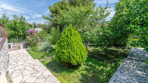 Ein Garten mit einem Kiesweg, einem hohen Nadelbaum und verschiedenen Sträuchern.