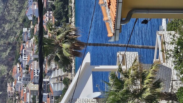 Zona residencial con casas, palmeras y una masa de agua azul.