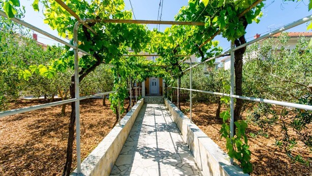A vineyard with a stone pathway leading to a building. - Apartments Ivana (Trogir)