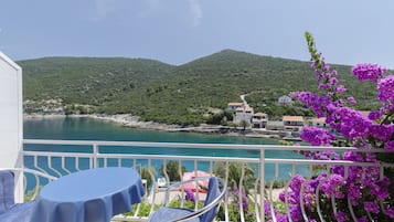 Apartment (A2) | Terrace/patio