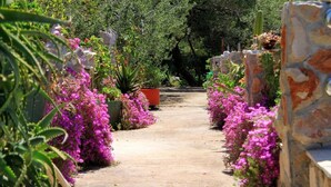 A pathway flanked by vibrant purple flowers and greenery, leading to a stone wall. - House The Bay (Gdinj)