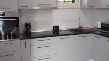 Apartment (A2) | Private kitchen | Fridge, microwave, oven, stovetop
