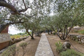 Property grounds - House Petric (Bol)