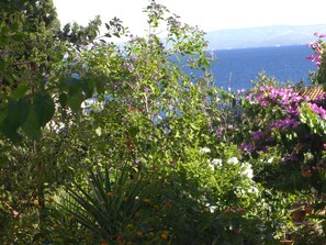 Property grounds - Apartments Branko (Okrug)