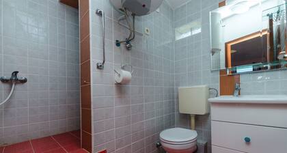 House Barbarina