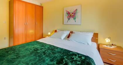 Apartments and Room Rukonic
