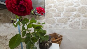 A rose in a vase with a stone wall background. - House Jasna (Igrane)