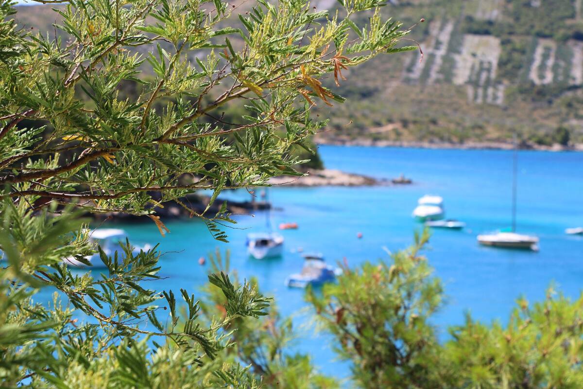 Vista costera con barcos en el agua y vegetación en primer plano.