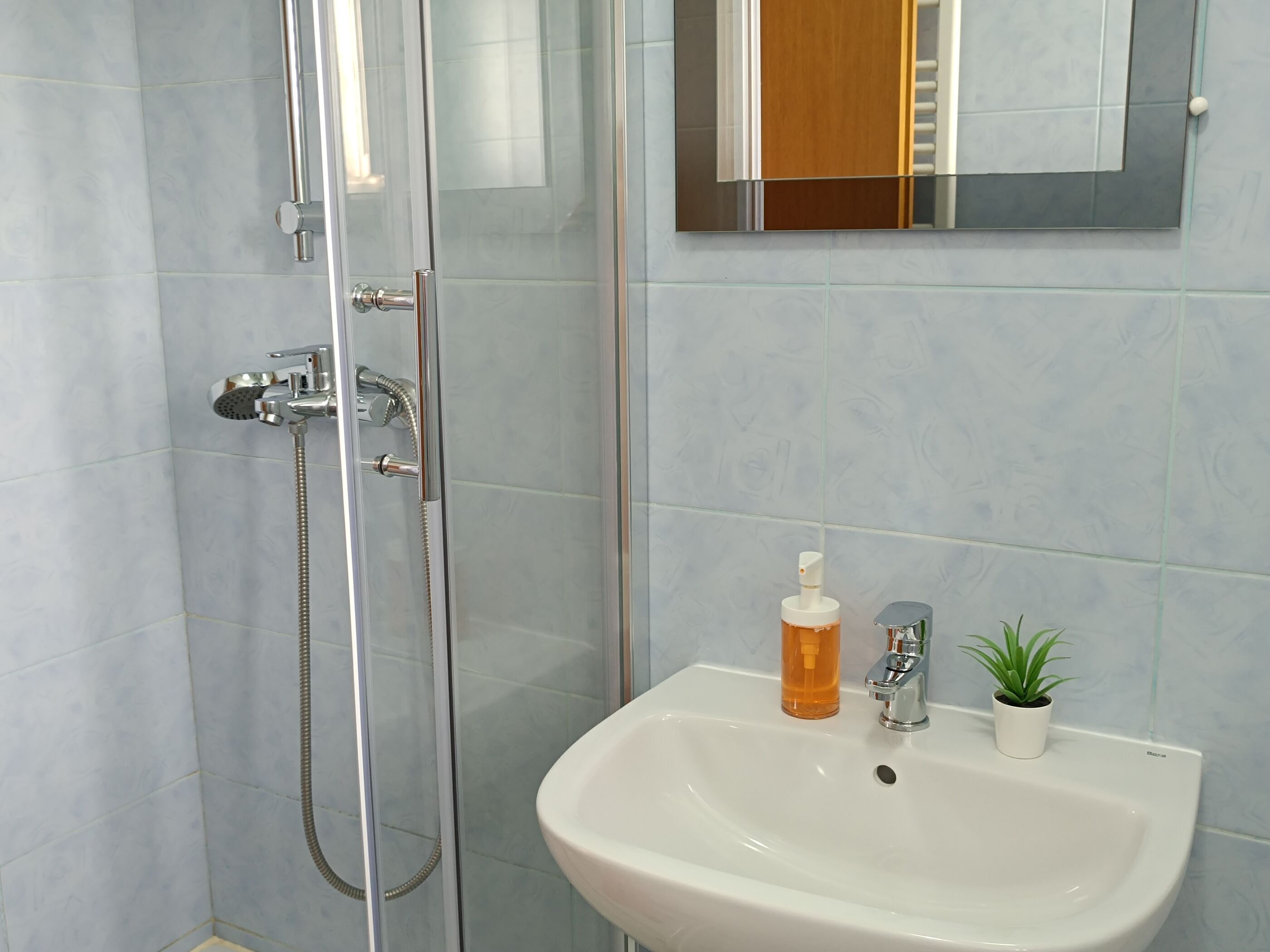 A bathroom with a glass-enclosed shower, a white sink, a small potted plant, and a mirror above the sink.