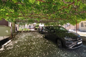 Free self parking
