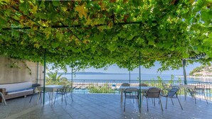 En udendørs patio med havudsigt, overdækket af en pergola med grønne slyngplanter, og møbleret med stole og en bænk.