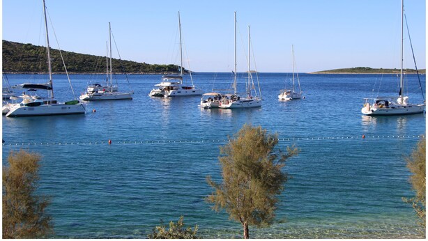 Un port de plaisance où sont amarrés plusieurs voiliers.