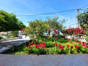 Garden - Apartment Jema (Okrug)