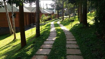 Un sendero que lleva a una hilera de edificios de madera, con un área verde y árboles a ambos lados.