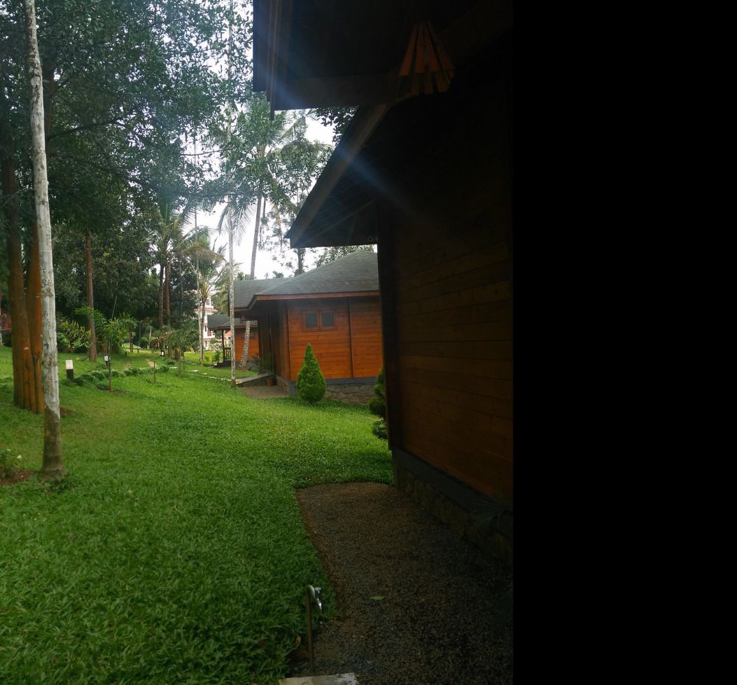 Une cabane en bois avec une cour verdoyante et un petit arbre devant.