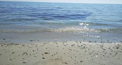 A few steps from the white beach, crystal clear sea