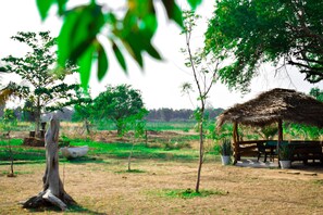 Garden - Lotus Chalets Eco Hotel (Sooriyawewa)