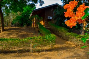 Garden - Lotus Chalets Eco Hotel (Sooriyawewa)