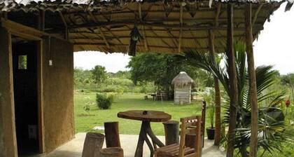 Lotus Chalets Eco Hotel