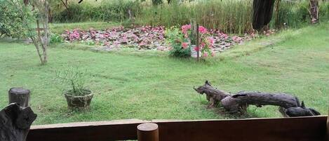Jardim