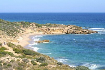 Magnificent coastal sanctuary of grand proportions with pool (sleeps 12/14)