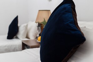 A bedroom with a bed, pillows, a nightstand, a lamp, and a plant. - Hanoi Cozy House (Hanoi)
