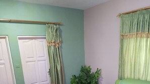 A room with two sofas, one pink and one green, a potted plant, and a door.