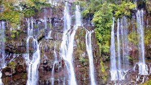 Una cascada se precipita sobre terreno rocoso con abundante vegetación.