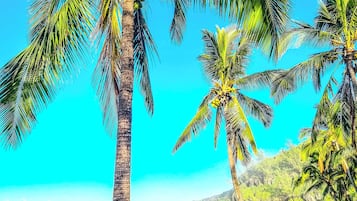 สถานที่น่าสนใจ