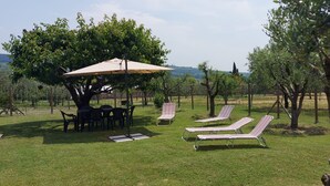 An outdoor seating area with tables, chairs, and a canopy. - House Vineyards Valpolicella, Garden Private Pool, 5 min. Verona, 20 min Garda (Fumane)