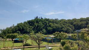 A lush green landscape with a hill in the background, a fenced area with trees, and a clear sky. - House Vineyards Valpolicella, Garden Private Pool, 5 min. Verona, 20 min Garda (Fumane)