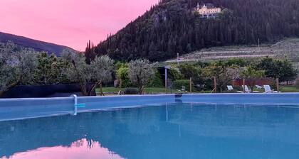 House with pool and private park in Valpolicella