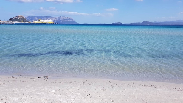 A beach with clear turquoise water, a sandy shore, and distant mountains. - La Smeralda - Boutique Rooms and Breakfast (Golfo Aranci)
