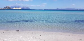 ใกล้ชายหาด