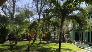 A courtyard with a variety of trees, a green building with a balcony, and a clear sky. - Belize Budget Suites (San Pedro)