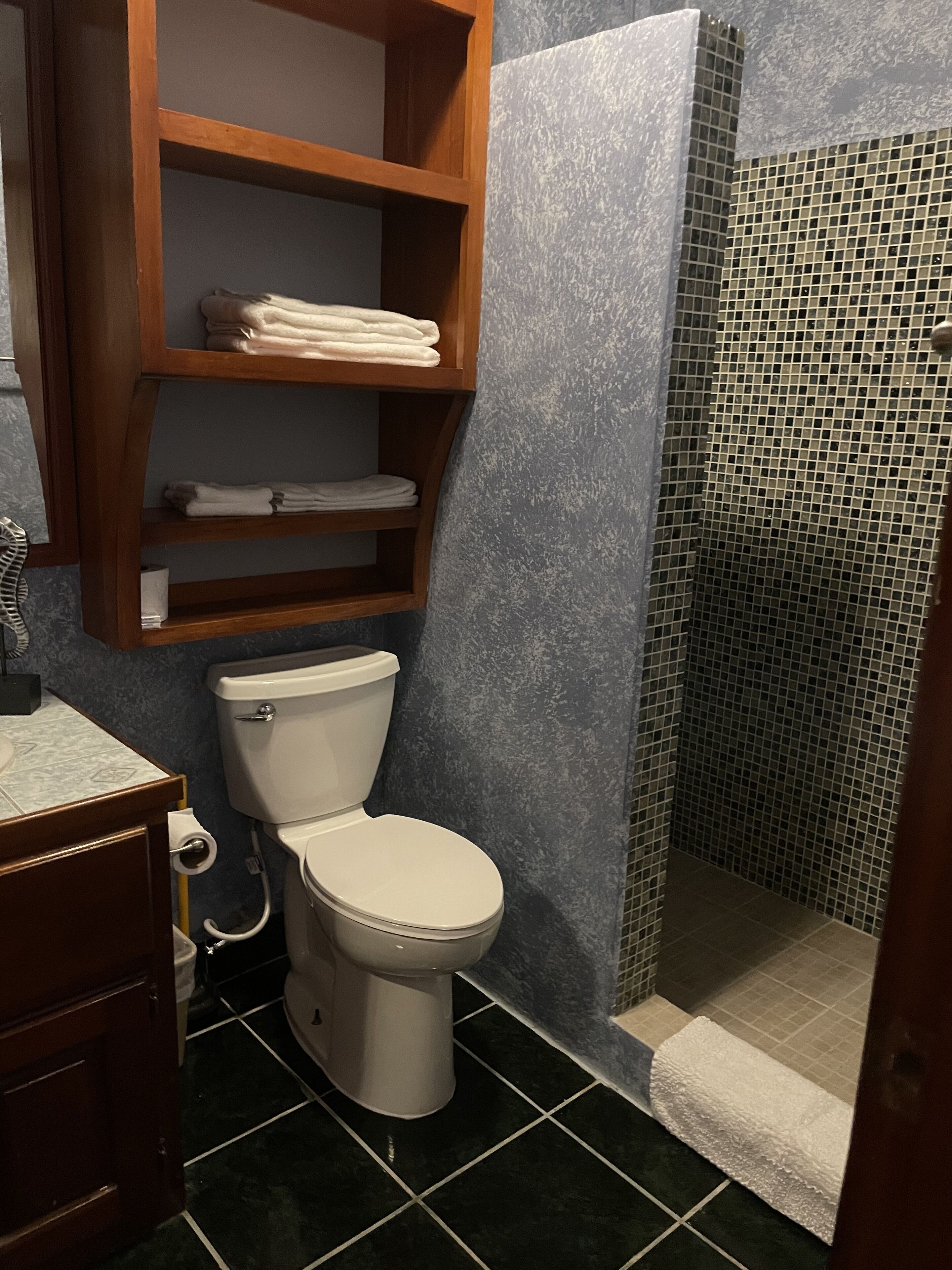 Un baño con inodoro, repisa con toallas dobladas, ducha con mosaicos y piso cubierto de baldosas oscuras.